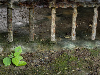 Close-up of abandoned built structure