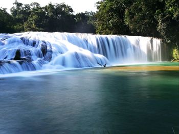 Scenic view of waterfall in forest