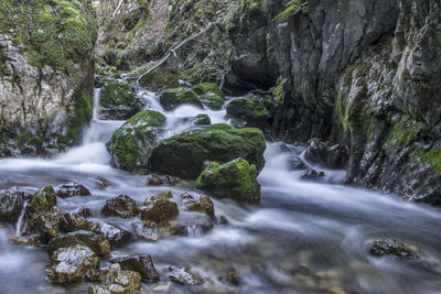 Stream flowing through rocks in forest