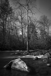 Bare trees by frozen river against sky during winter