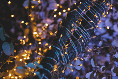 Close-up of illuminated christmas lights at night