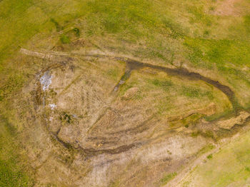 High angle view of rice paddy