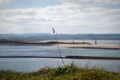 View from the top of lindisfarne castle against sky