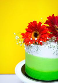 Close-up of yellow daisy on table