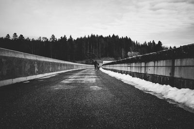 Road amidst trees against sky during winter