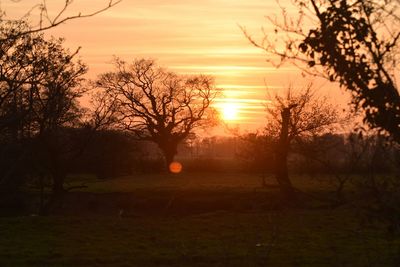 Bare trees on landscape at sunset