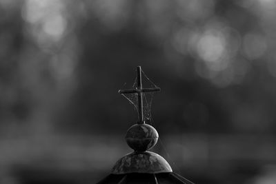 Close-up of plant against blurred background