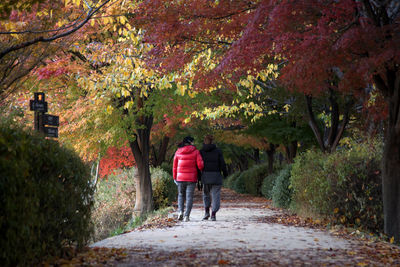 Rear view of women walking on road amidst trees at public park during autumn