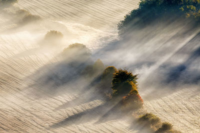 High angle view of trees on land against sky