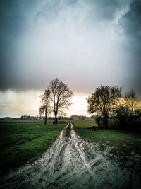 Dirt road amidst field against sky