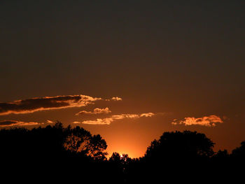 Low angle view of silhouette trees against sky at sunset
