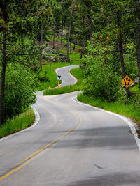 Empty road along trees and plants