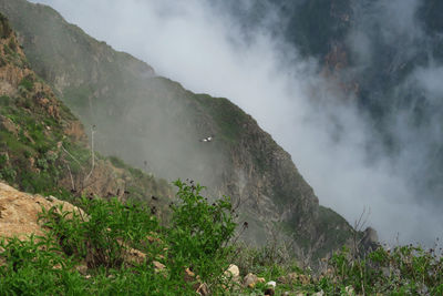 Low angle view of mountains during foggy weather