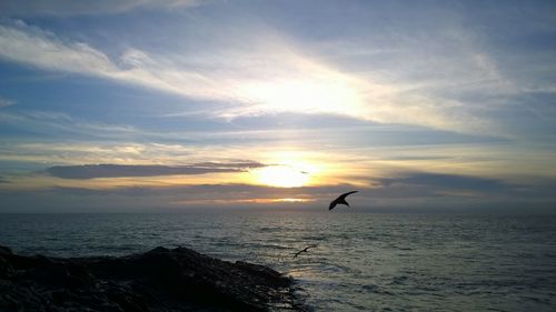 Silhouette swan on sea against sky during sunset