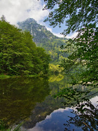 Scenic view of lake by trees against sky