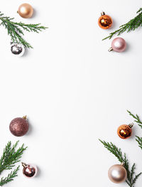 High angle view of fruits against white background