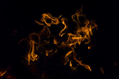 Close-up of bonfire against black background