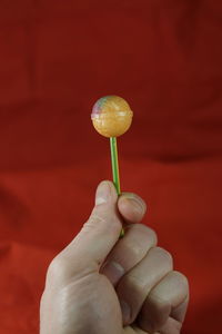 Cropped hand holding lollipop against red fabric