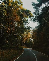 Road amidst trees against sky