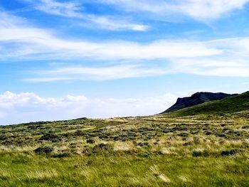 Scenic view of landscape against sky