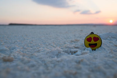 Close-up of a ball on beach