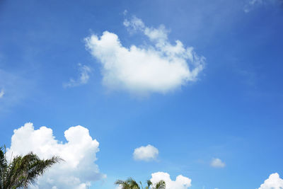 Low angle view of trees against blue sky