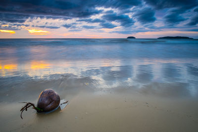 Scenic view of sea during sunset