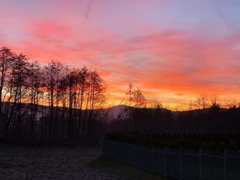 Silhouette trees on landscape against sky during sunset