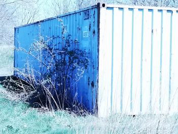 Blue window of old building