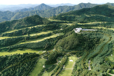 High angle view of trees on land