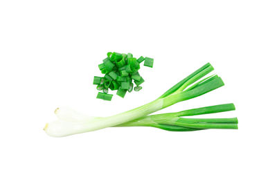 Close-up of chopped leaf against white background