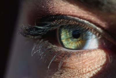 Close-up of woman eye