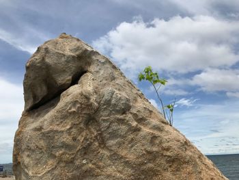 Low angle view of rock by sea against sky