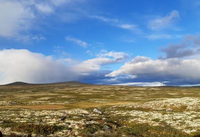 Scenic view of landscape against sky