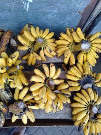 High angle view of bananas