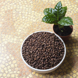 High angle view of coffee beans on table