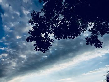 Low angle view of tree against cloudy sky