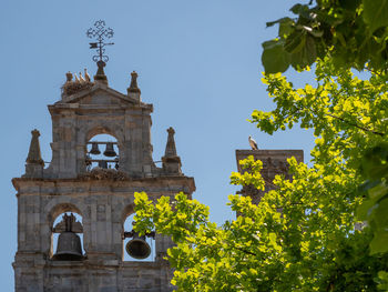 Low angle view of trees and building against sky