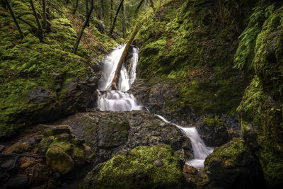 Waterfall in forest