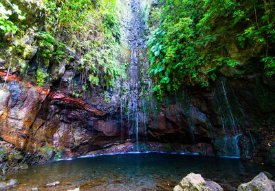 Scenic view of waterfall against trees
