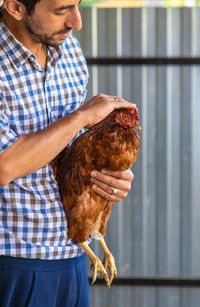 Midsection of man feeding chicken