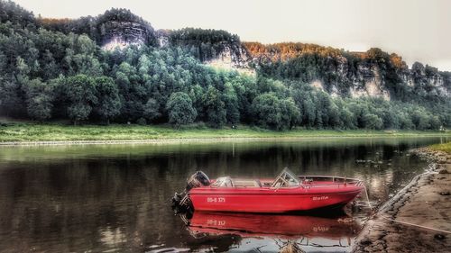 Boat moored in lake against trees in forest