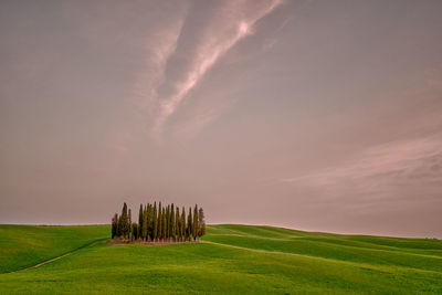 environment