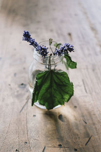 High angle view of flowers and leaves in vase on table