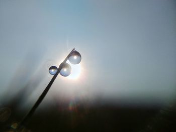 Low angle view of illuminated lighting equipment against sky