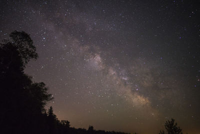Low angle view of starry sky