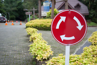 Close-up of road sign