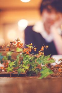 Close-up of plants growing on plant