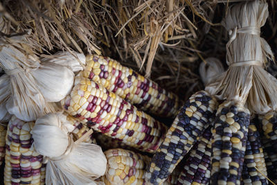 Full frame shot of vegetables for sale