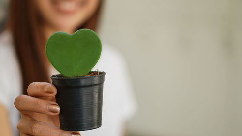 Close-up of hand holding plant